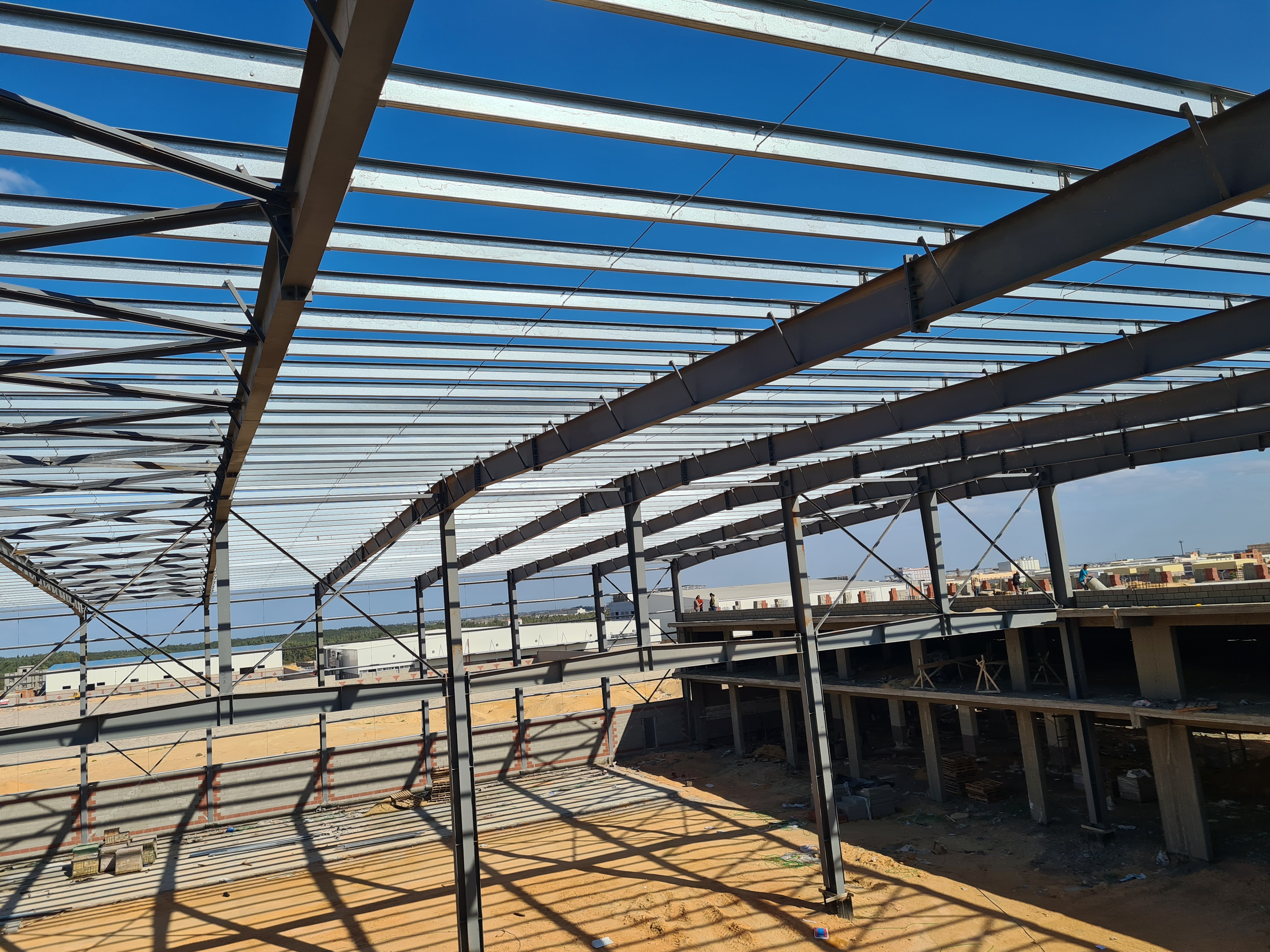 محطة البكراوي لفرز وتعبئة الفاكهه Image 16